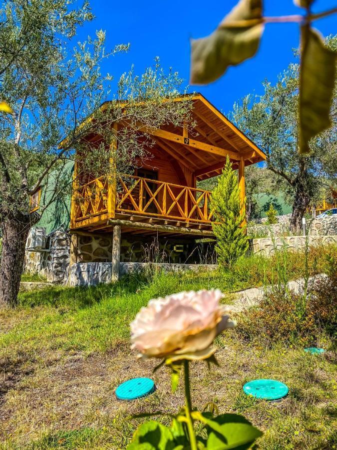 Kazdaglari Saglikli Yasam Koeyue Hotel Едремит Екстериор снимка