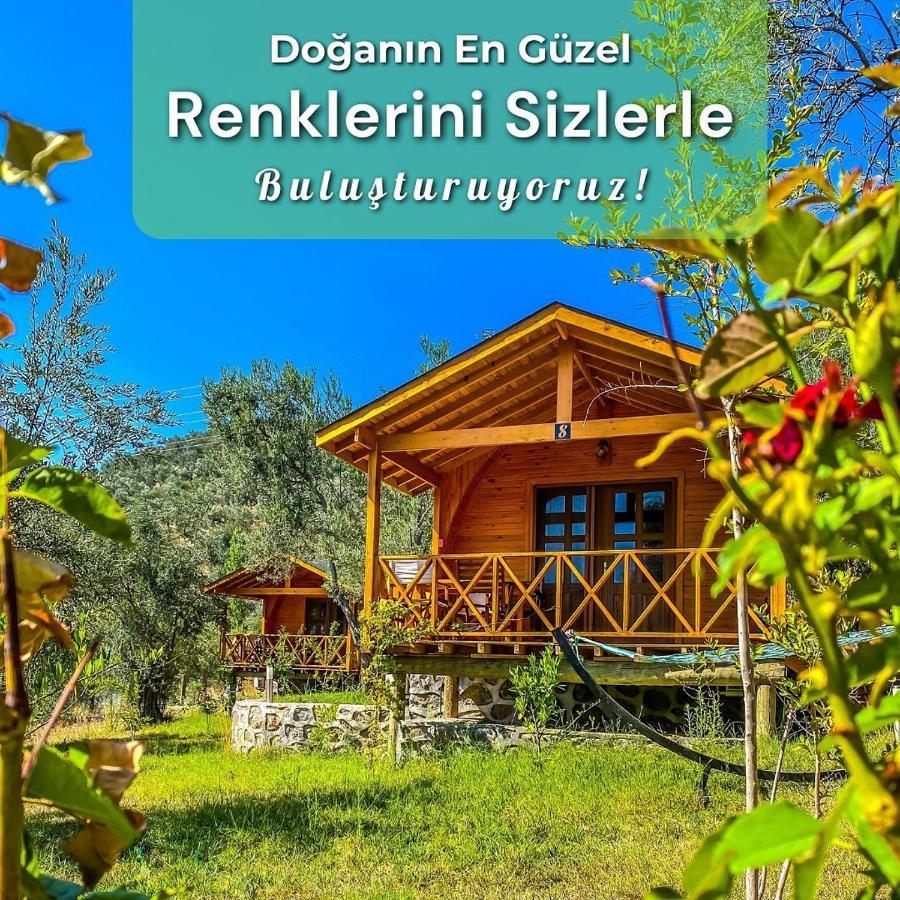 Kazdaglari Saglikli Yasam Koeyue Hotel Едремит Екстериор снимка